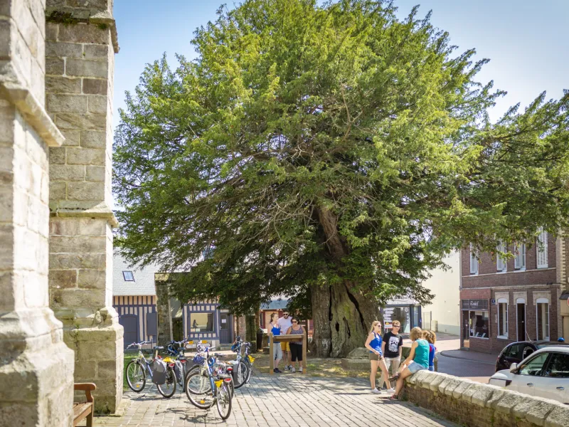 Pause sur le parvis de l'église d'Offranville
