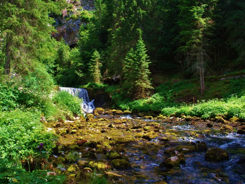 La source du Doubs à Mouthe