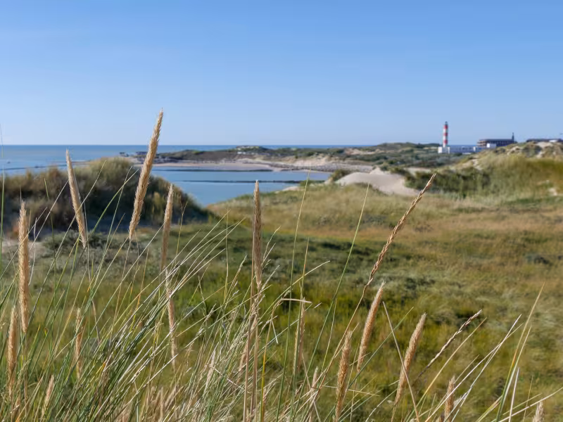 Baie d'Authie à vélo