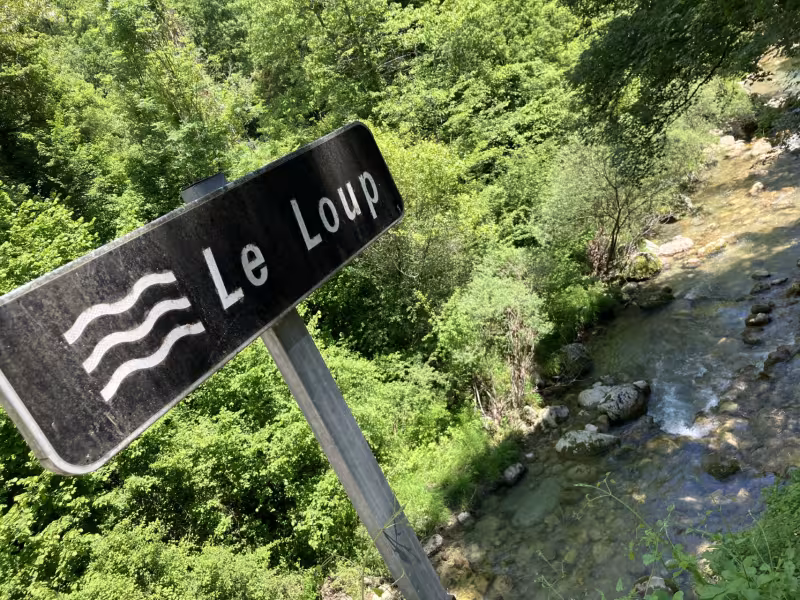 C'est le loup !