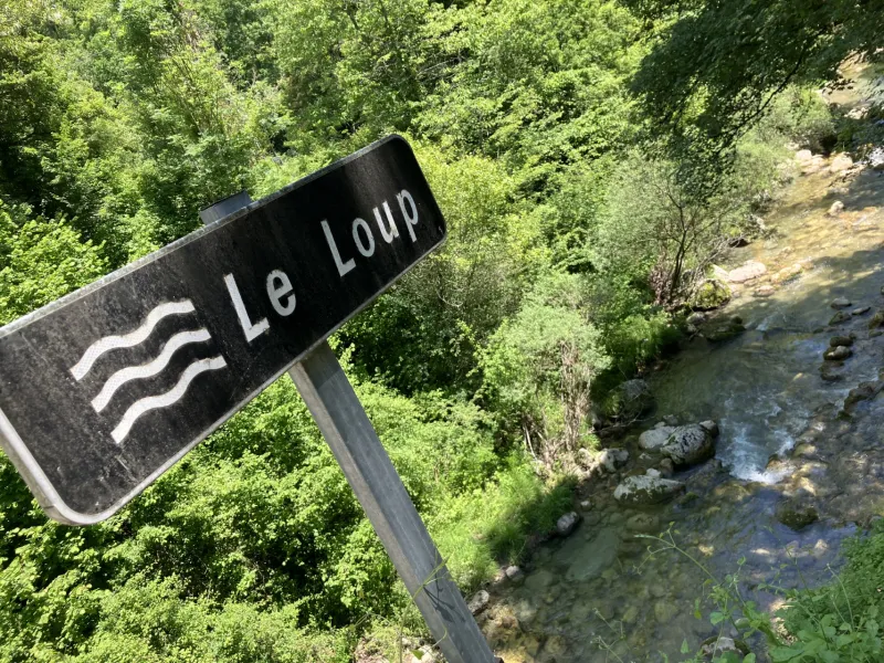 C'est le loup !