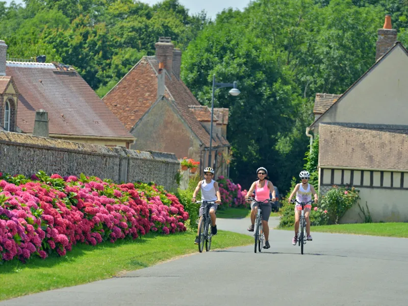 Perruchet et ses migrateurs -1 