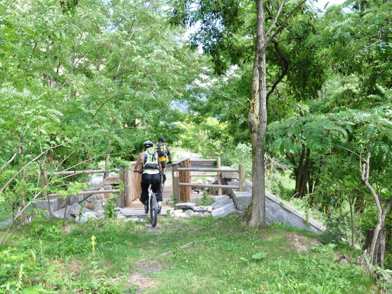 Sentier en forêt sur la Grande Traversée VTT L'Alpes Provence