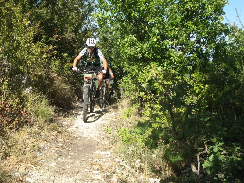 Single track à VTT sur la Grande Traversée L'Alpes Provence