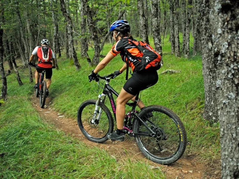 VTT en sous-bois sur la Grande Traversée L'Alpes Provence