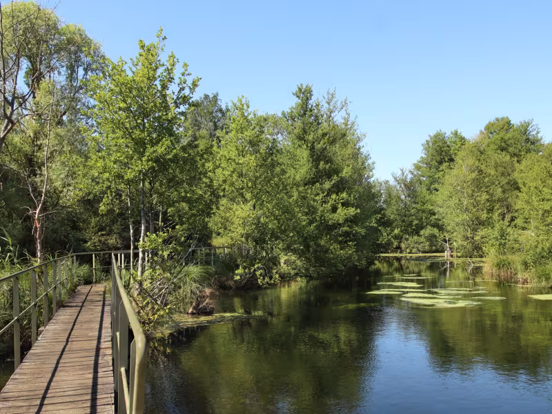 Passerelle de Conie