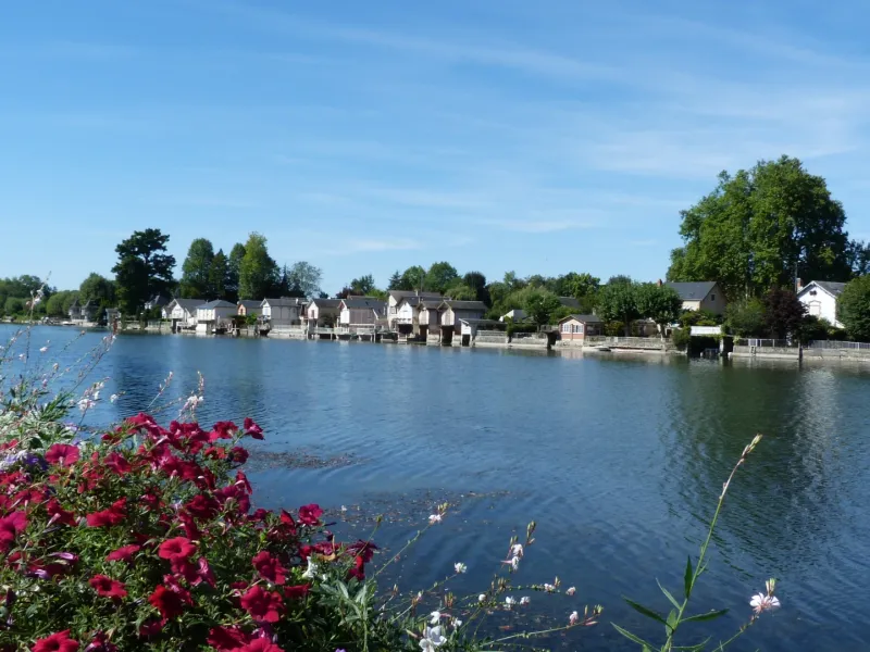 Bords du Loiret à Olivet