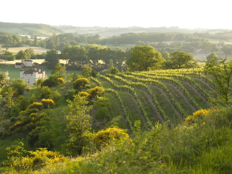 Domaine de Herrebouc