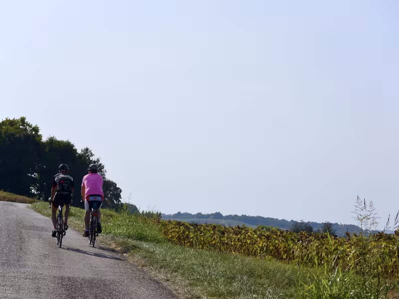 Route de la V82