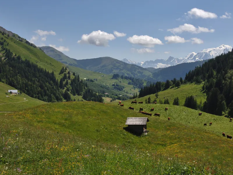 Descente vers le Val d'Arly depuis le Col des Aravis