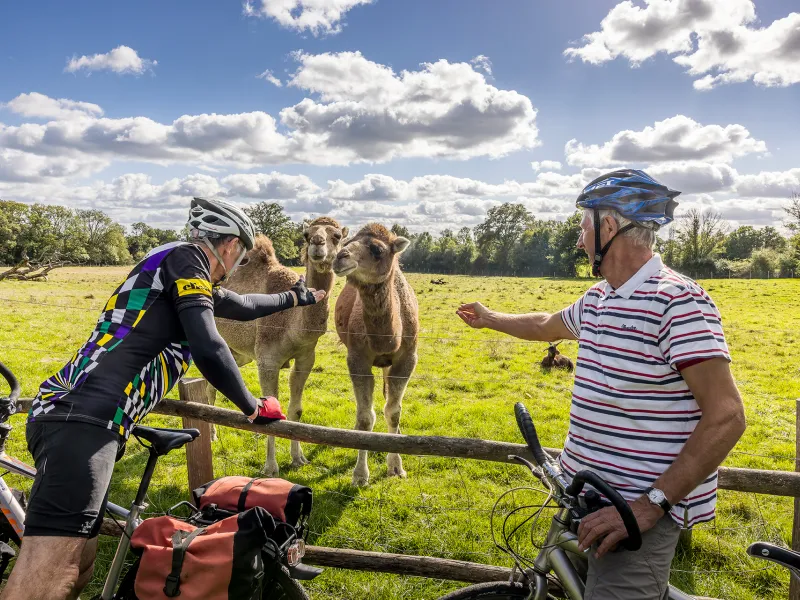 Ferme des Clautres à Bord-Saint-Georges