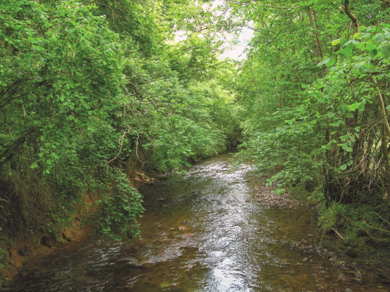 Traversée de l'Azergues au Moulin Dascut