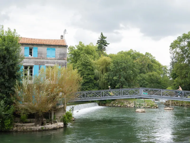 Balade à vélo en bord de Charente - Jarnac