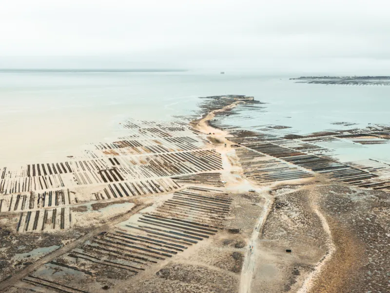 Ostréiculture à Fouras