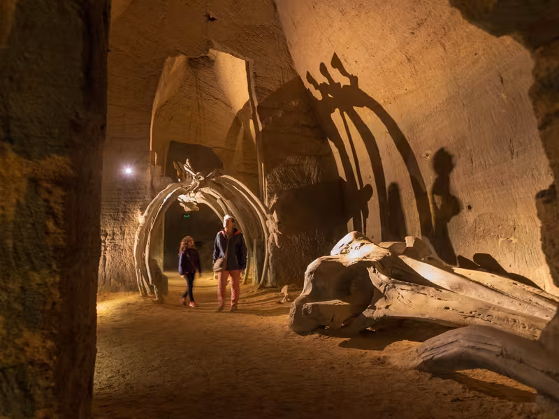 Le Mystère des Faluns à Doué-La-Fontaine