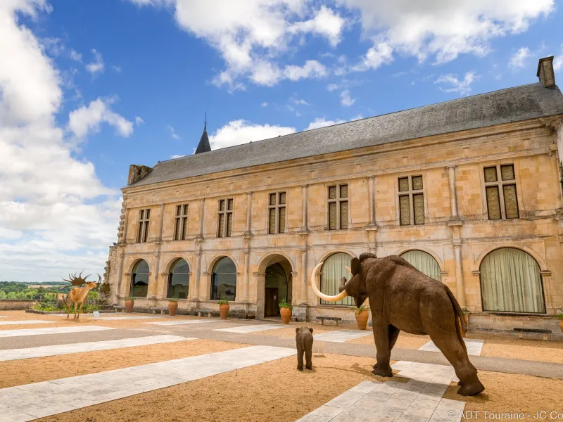Musée Grand Pressigny
