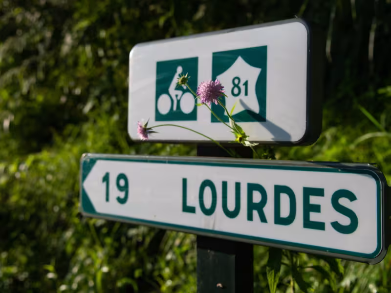 Panneau V81 - balisage La Vélosud