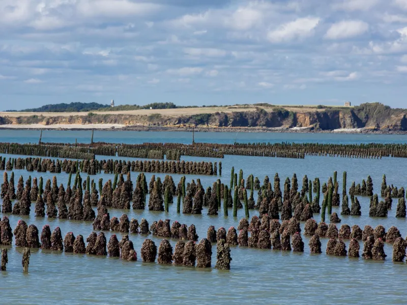 Parcs a Huîtres à Penestin