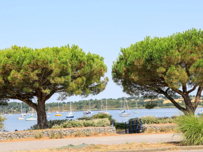 Port de plaisance à Arzal
