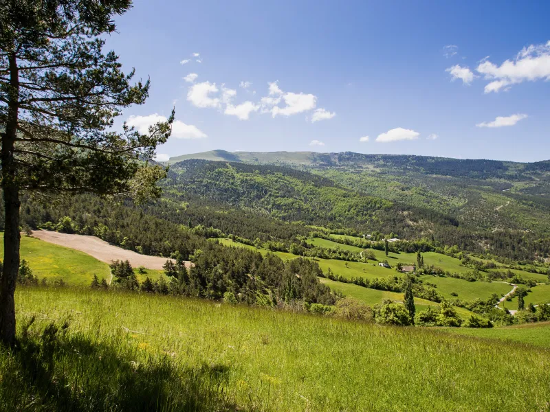 Sur les hauteurs de Valdrôme