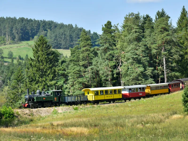 Train Velay Express
