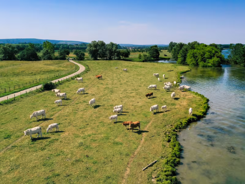 Les Plaines du Val-de-Saône à vélo