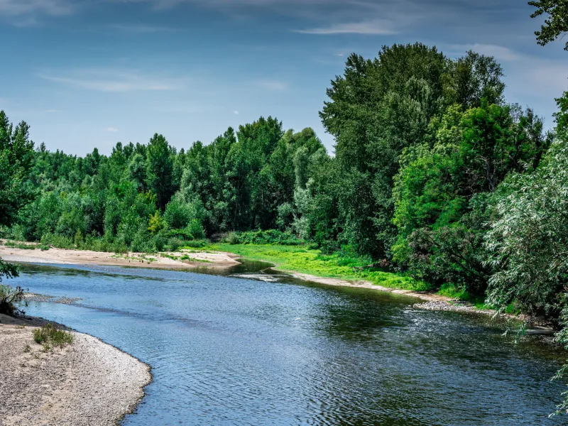 Confluence de la Morge et de l'Allier à Luzillat 