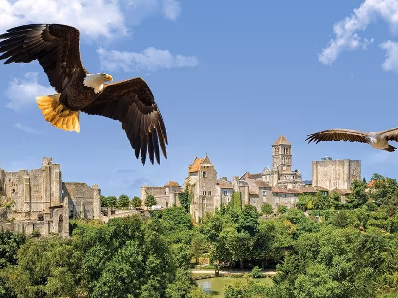 Aigles au dessus de Chauvigny