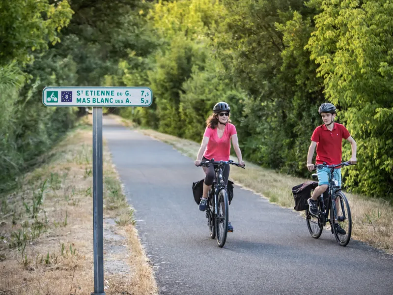 Piste cyclable dans les Alpilles
