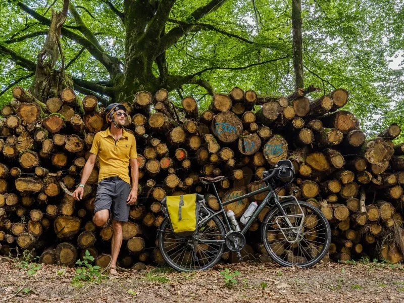 Arbres coupés autour du lac des Barriousses