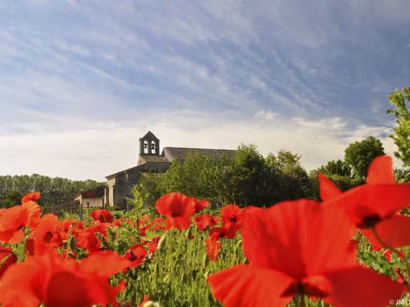 Champ fleuri Autour du Luberon à vélo