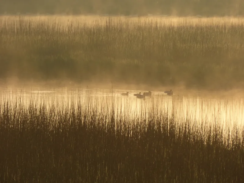 Brume sur la baie de Goulven
