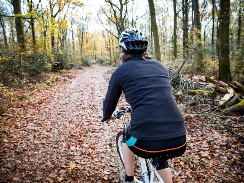 Balade à vélo en forêt de Vioreau
