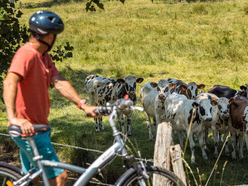À vélo sur La Verdoyante