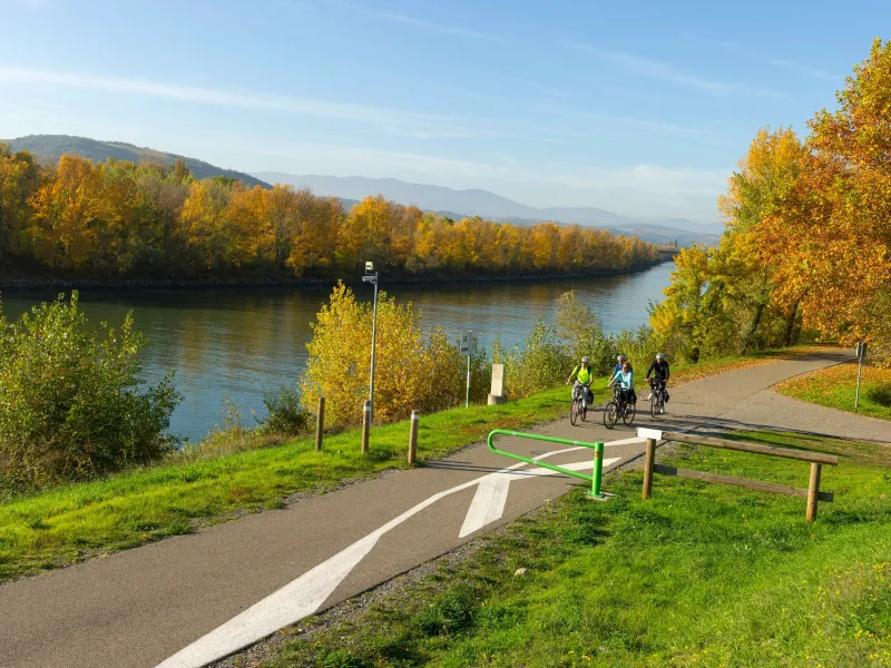 Bord du Rhône à vélo près d'Andancette