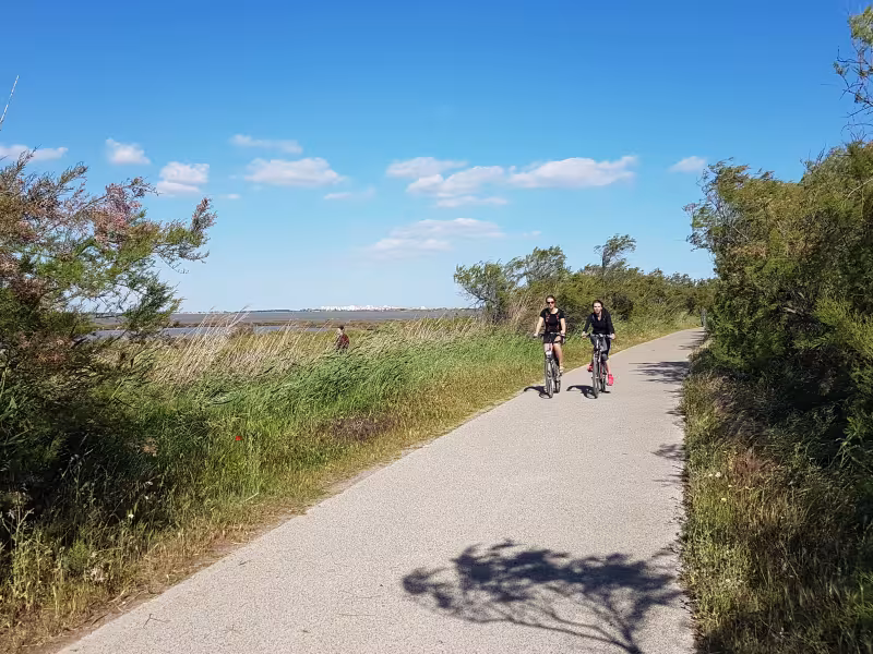 Cyclistes le long des étangs du Méjean 
