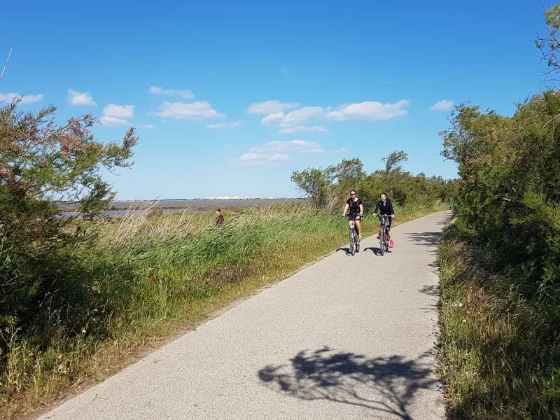 Cyclistes le long des étangs du Méjean 