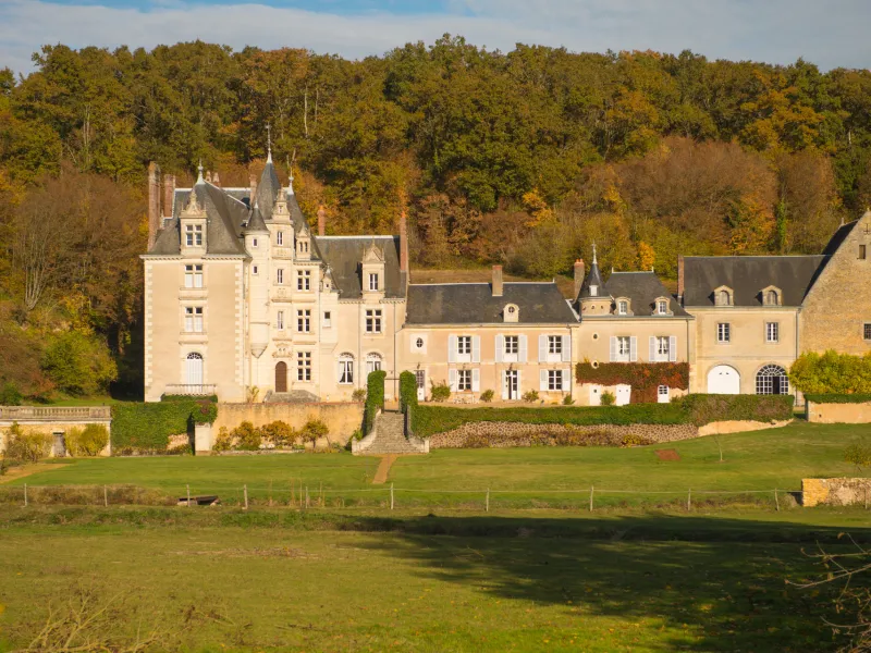 Château de la Roche d'Alès à Marray
