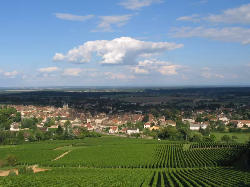 Buxy, village cerné par les vignes