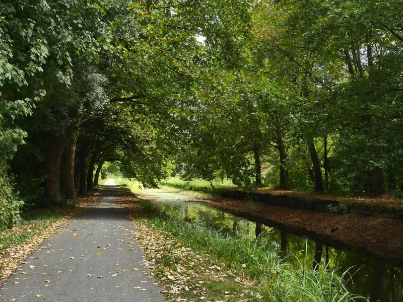 Canal de Berry entre Vierzon et Foëcy