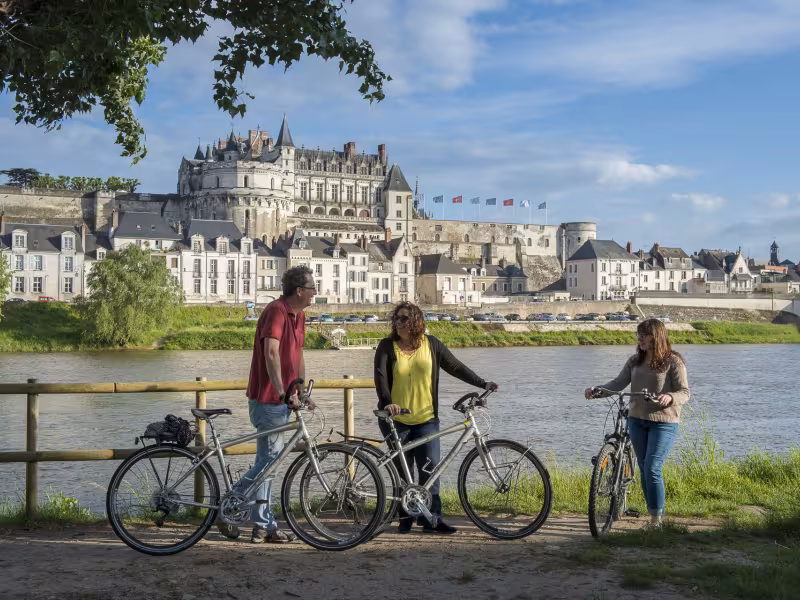 Vue sur la Loire et le Château d'Amboise - La Loire à vélo