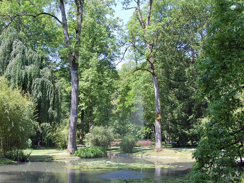 Parc du château de Joinville