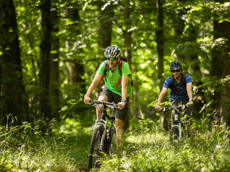 Chemin en forêt entre Bourbon Lancy et Moulins - GTMC VTT