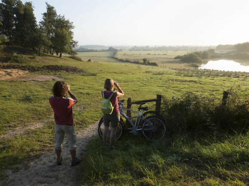 Etangs et buttons de Brenne - Boucle vélo n°2