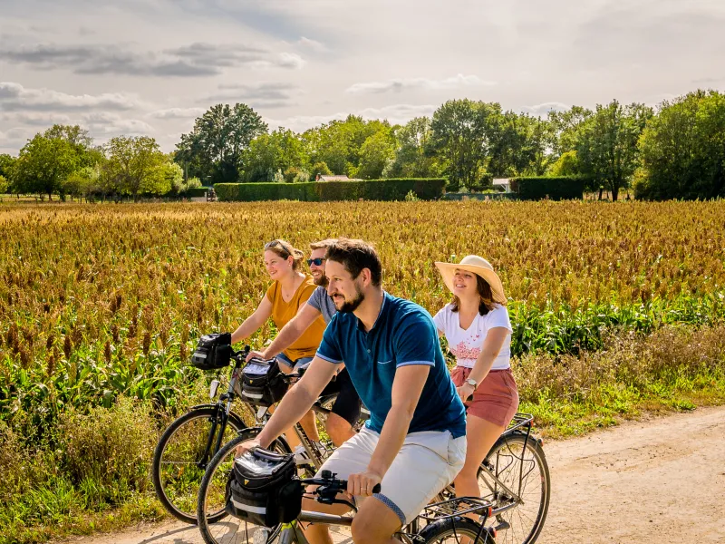 Cyclistes à Chenonceau