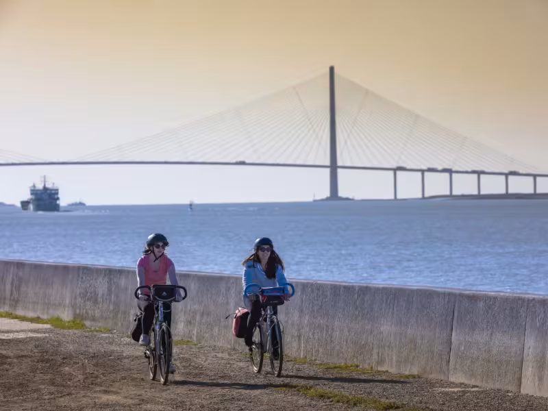 Vue sur le pont de Normandie