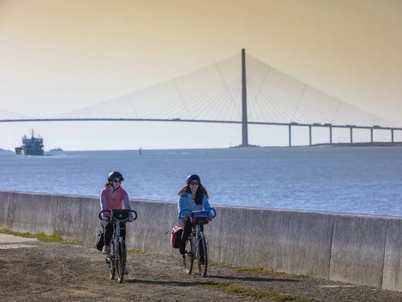 Vue sur le pont de Normandie