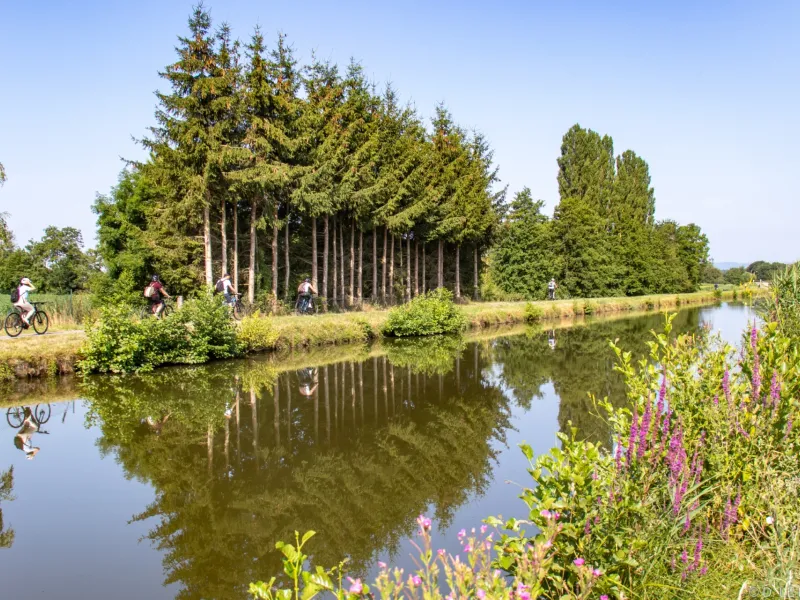Environs de Dannemarie