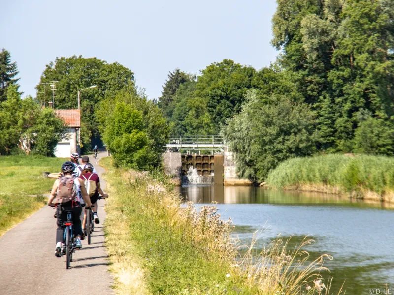 Cyclistes à Dannemarie