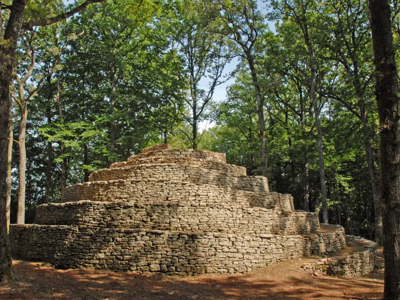 Escargot (de Bourgogne) à Cohons